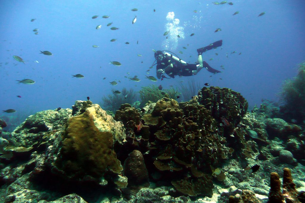 Visiting Curacao Exciting Diving and Snorkeling Opportunities